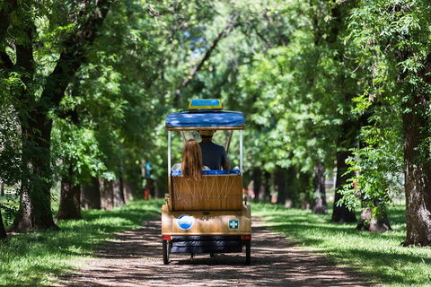 Adelaide 90-Minute Pedicab Tour: Scenic Green & River Experience - Restaurant Darwin 2