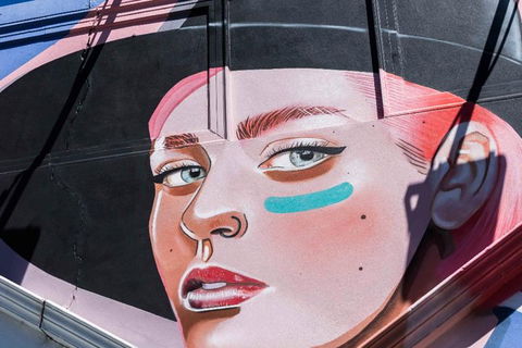 Adelaide 90-Minute Pedicab Tour: Street Art Experience - Restaurant Darwin 1