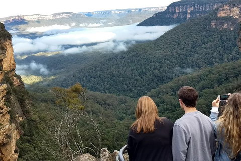 Blue Mountains Private Tour - Wild Kangaroos, Waterfalls And The Three Sisters - Restaurant Darwin 3