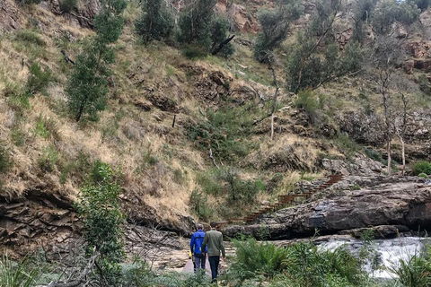 Grampians - Private Tour - Restaurant Darwin 0