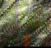 O'Reilly's  Lamington National Park from Gold Coast - Restaurant Darwin