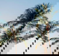 Darwin City Sightseeing Tour - Restaurant Darwin