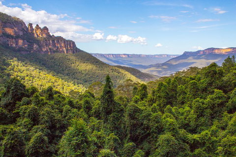 Blue Mountains Nature And Wildlife Day Tour From Sydney - Restaurant Darwin 1