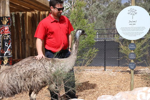 Blue Mountains Nature And Wildlife Day Tour From Sydney - Restaurant Darwin 5