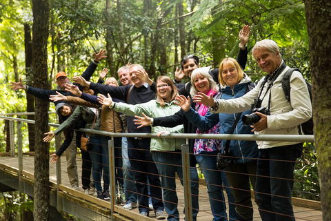 All Inclusive Blue Mountains Small-Group Day Trip From Sydney - Restaurant Darwin 5