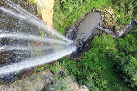 Natural Bridge & Springbrook Waterfalls Tour + Hot Air Balloon With Breakfast - Restaurant Darwin 1