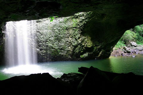 Natural Bridge & Springbrook Waterfalls Tour + Hot Air Balloon With Breakfast - Restaurant Darwin 2
