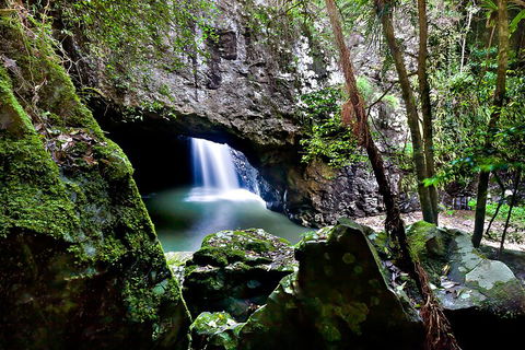 Natural Bridge & Springbrook Waterfalls Tour + Hot Air Balloon With Breakfast - Restaurant Darwin 4