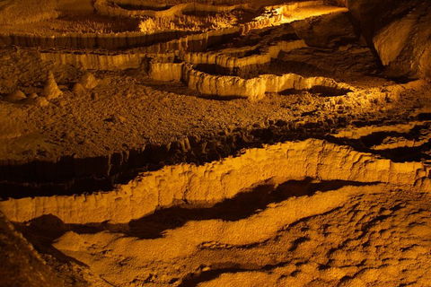 The Explorers' Discovery Tour - Gold, Wine & Wildlife - Restaurant Darwin 0