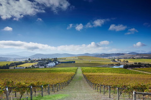 Yarra Valley Wine And Wildlife Self-Driving Tour - Restaurant Darwin 1