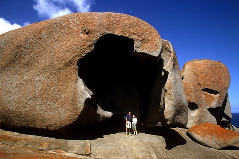 Full-Day Kangaroo Island Safari From Penneshaw - Restaurant Darwin 0