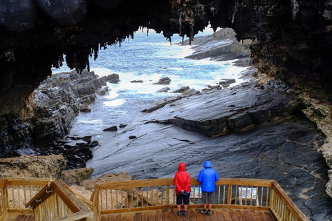 Full-Day Kangaroo Island Safari From Penneshaw - Restaurant Darwin 1