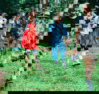 Let's Go Buggin  Let's Go Shroomin - Photography  Nature Walking Tours - Restaurant Darwin