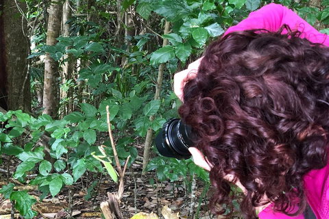 Let's Go Buggin & Let's Go Shroomin - Photography & Nature Walking Tours - Restaurant Darwin 1