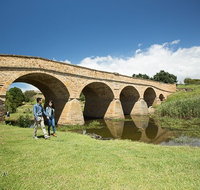 Bonorong Wildlife Park and Richmond Afternoon Tour from Hobart - Restaurant Darwin