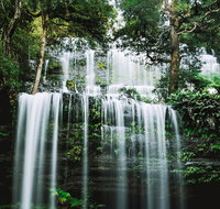 Mt Field National Park and Russell Falls from Hobart - Restaurant Darwin