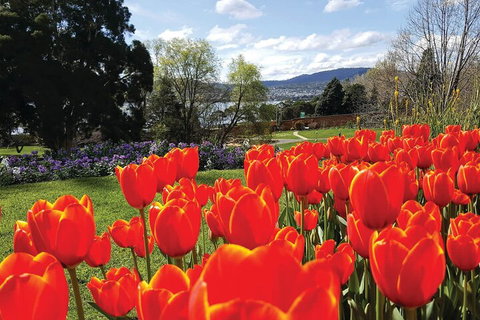 Hobart Half-Day Sightseeing Coach Tram Tour - Restaurant Darwin 4