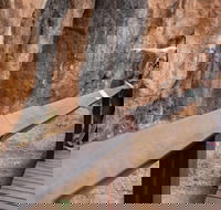 Chillagoe Caves and Outback Day Trip from Cairns - Restaurant Darwin