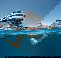 3 Day Great Barrier Reef Daintree Rainforest and Outback Chillagoe Tour - Restaurant Darwin