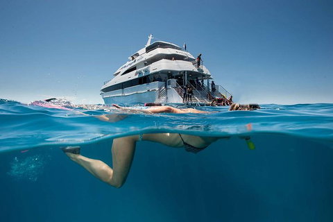 3 Day Great Barrier Reef, Daintree Rainforest And Outback Chillagoe Tour - Restaurant Darwin 0
