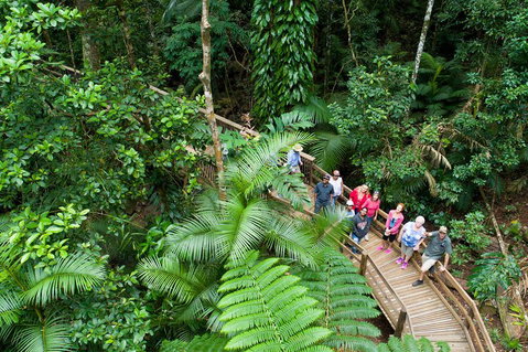 3 Day Great Barrier Reef, Daintree Rainforest And Outback Chillagoe Tour - Restaurant Darwin 2