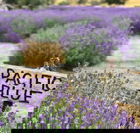 Kangaroo Island Food and Wine Trail Tour - Restaurant Darwin