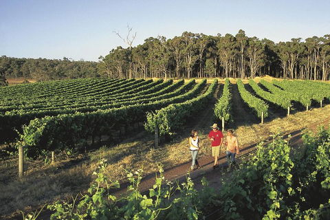 Margaret River, Caves, Wine And Cape Leeuwin Lighthouse Tour From Perth - Restaurant Darwin 1