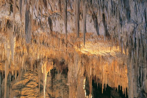 Margaret River, Caves, Wine And Cape Leeuwin Lighthouse Tour From Perth - Restaurant Darwin 3