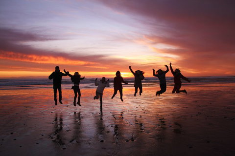 5-Day Best Of Tasmania Tour From Hobart - Restaurant Darwin 1