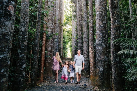 The Original Day Tour To Paronella Park, Lake Barrine And Millaa Millaa Falls - Restaurant Darwin 1