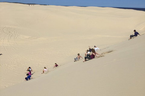 Port Stephens Bush, Beach And Sand Dune 4WD Passenger Tour - Restaurant Darwin 4