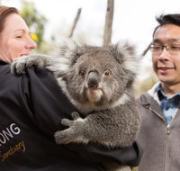 Bonorong Wildlife Park and Richmond Afternoon Tour from Hobart - Restaurant Darwin