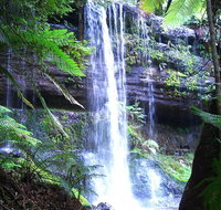 Mt Field National Park and Russell Falls from Hobart - Restaurant Darwin