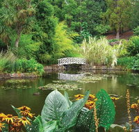 Hobart Half-Day Sightseeing Coach Tram Tour - Restaurant Darwin