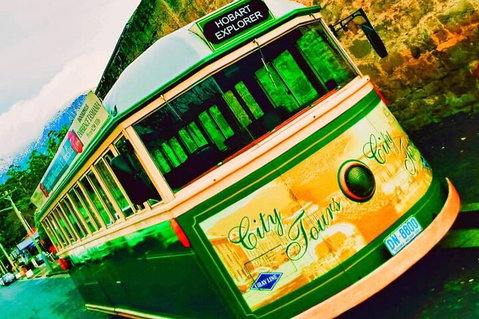 Hobart Half-Day Sightseeing Coach Tram Tour - Restaurant Darwin 5