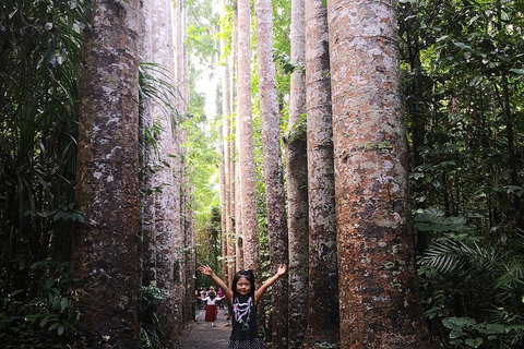 Private Tour To Paronella Park, Historic Village Herberton And Wild Life Wallaby - Restaurant Darwin 2