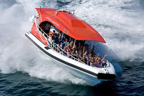 Adventure Rottnest Tour With Ferry & Adventure Cruise From Perth Or Fremantle - Restaurant Darwin 2