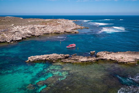 Adventure Rottnest Tour With Ferry & Adventure Cruise From Perth Or Fremantle - Restaurant Darwin 3