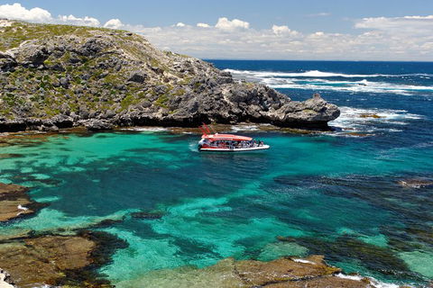 Adventure Rottnest Tour With Ferry & Adventure Cruise From Perth Or Fremantle - Restaurant Darwin 5
