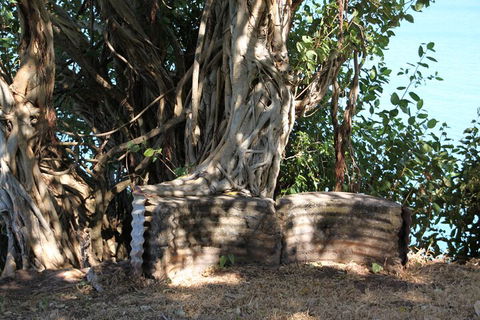 Darwin Walking Tour: World War II Reflections - Restaurant Darwin 3