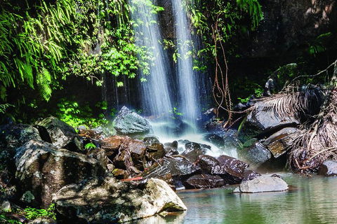 Full Day Small Group Luxury Tour To Tamborine Mountain - Restaurant Darwin 0