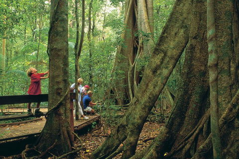 Full Day Small Group Luxury Tour To Tamborine Mountain - Restaurant Darwin 1