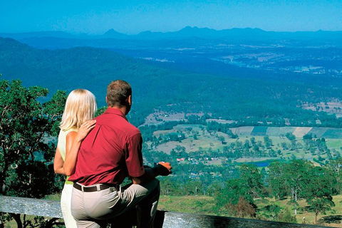 Full Day Small Group Luxury Tour To Tamborine Mountain - Restaurant Darwin 2