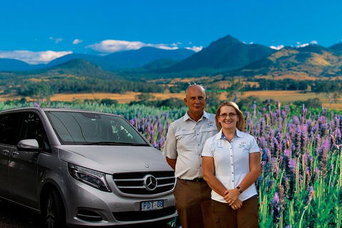 Full Day Small Group Luxury Tour To Tamborine Mountain - Restaurant Darwin 3