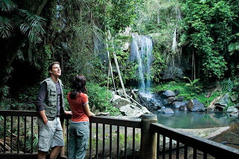 Full Day Small Group Luxury Tour To Tamborine Mountain - Restaurant Darwin 4
