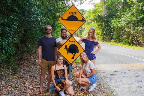 Cape Tribulation, Daintree Rainforest And Wildlife Tour - Restaurant Darwin 0