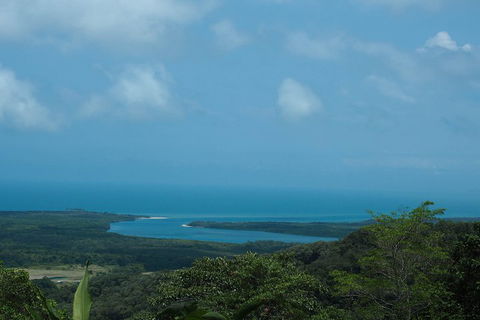 Cape Tribulation, Daintree Rainforest And Wildlife Tour - Restaurant Darwin 1
