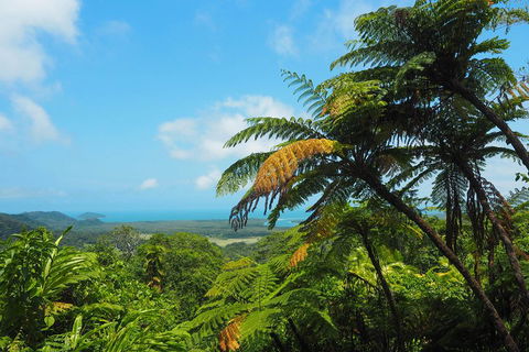 Cape Tribulation, Daintree Rainforest And Wildlife Tour - Restaurant Darwin 3