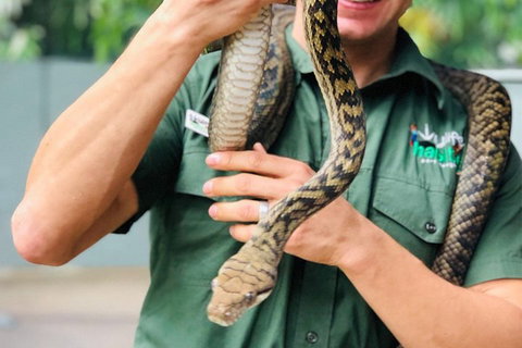 Virtual Interactive Australian Wildlife Tour With Private Guide-Wildlife Habitat - Restaurant Darwin 1