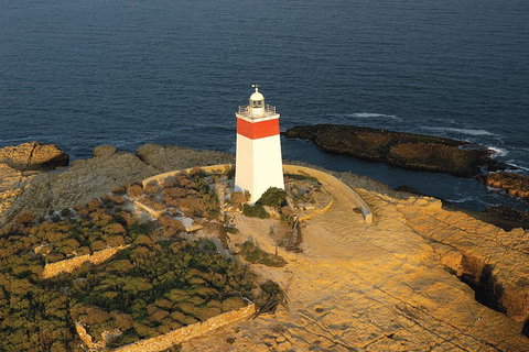 Hobart Sightseeing Cruise Including Iron Pot Lighthouse - Restaurant Darwin 1